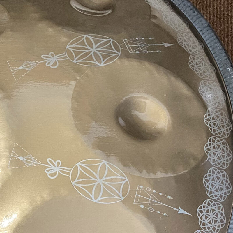 MiSoundofNature Handpan Life of Flower D Sabye 22" – 9/10/12 Note, Acciaio Inox Premium con Incisione Laser, Disponibile in 432 Hz e 440 Hz