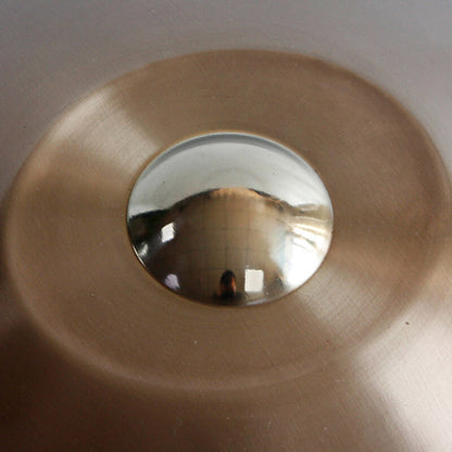 MiSoundofNature 22 Zoll 8 Noten Edelstahl Handpan Trommel, D Moll Integral, Erhältlich in 432 Hz und 440 Hz, High-End Perkussionsinstrument
